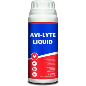 Ashkan - Avi-Lyte Liquid