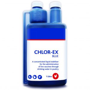Ashkan - Chlor-Ex Blue